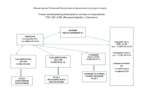 Структура и органы управления образовательной организацией